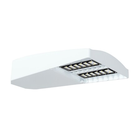 Rab LOTBLASTER TYPE II 65W 5K LED 120-277V DIM HS SHIELD WH LOT2T65W/D10/HS